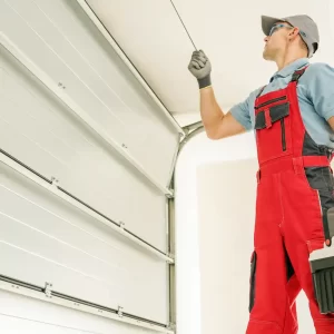 garage door 1