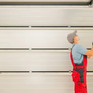 garage door 2